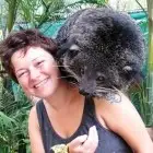 Фото Карина Шаинян