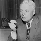 Фото Томас Костэйн