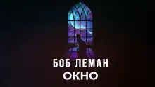 Обложка книги Окно