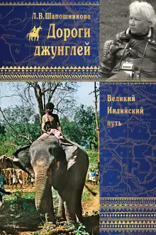 Обложка книги Дороги джунглей