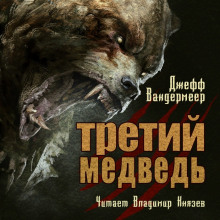 Обложка книги Третий медведь