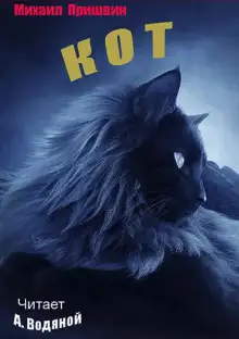 Обложка книги Кот