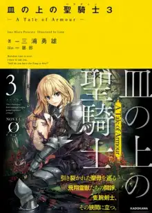 Обложка книги Паладин на блюде -История брони- 3