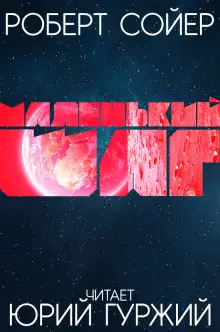 Обложка книги Маленький шаг