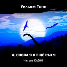 Обложка книги Я, снова я и ещё раз я
