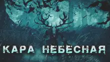 Обложка книги Кара небесная