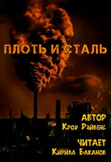 Обложка книги Плоть и сталь