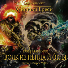 Обложка книги Волк из пепла и огня