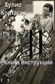 Обложка книги Книга инструкций