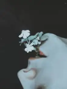 Обложка книги Чрево