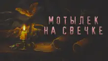 Обложка книги Мотылек на свечке
