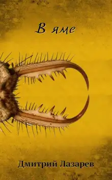 Обложка книги В яме