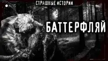 Обложка книги Баттерфляй