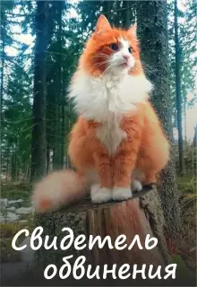 Обложка книги Свидетель обвинения