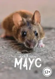 Обложка книги Маус