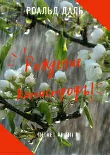 Обложка книги Рождение катастрофы