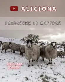 Обложка книги Разбойник за Магурой