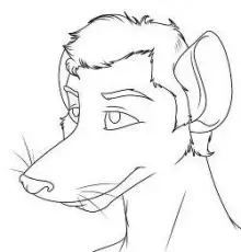 Обложка книги Крыса