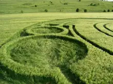 Обложка книги Структура реальности