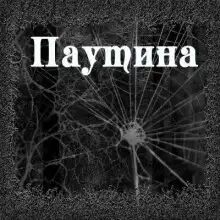 Обложка книги Паутина