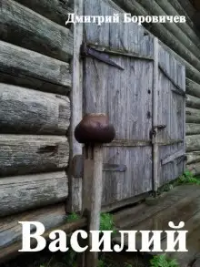 Обложка книги Василий