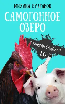Обложка книги Самогонное озеро