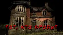 Обложка книги Тот, кто бродит в темноте