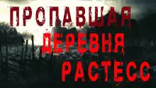 Обложка книги Пропавшая деревня Растесс