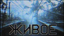 Обложка книги Живое