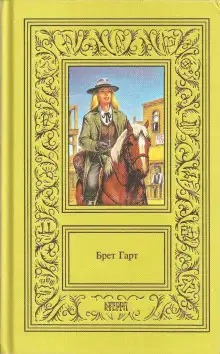 Обложка книги Новый помощник учителя в Пайн-Клиринге