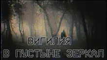 Обложка книги Вигилия в пустыне зеркал