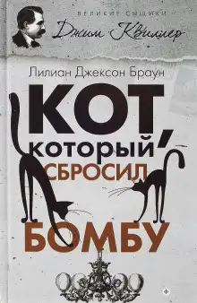 Обложка книги Кот, который сбросил бомбу