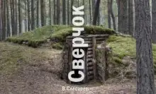 Обложка книги Сверчок