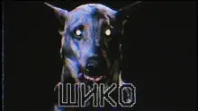 Обложка книги Шико