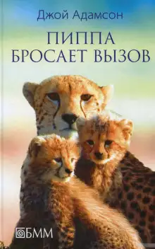 Обложка книги Пиппа бросает вызов