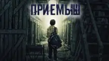 Обложка книги Приёмыш