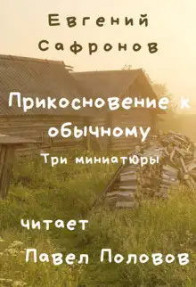 Обложка книги Прикосновение к обычному. Три миниатюры
