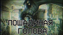 Обложка книги Лошадиная голова