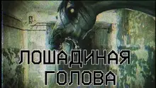 Обложка книги Лошадиная голова
