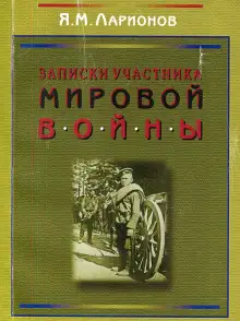 Обложка книги Записки участника мировой войны
