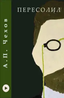 Обложка книги Пересолил