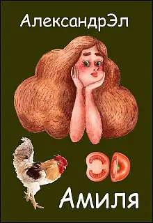 Обложка книги Амиля