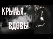 Обложка книги Крылья вдовы