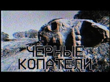 Обложка книги Чёрные копатели