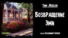Обложка книги Возвращение Эми