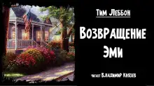 Обложка книги Возвращение Эми