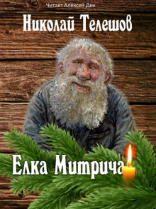 Обложка книги Елка Митрича