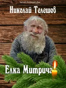 Обложка книги Елка Митрича