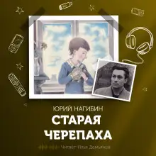 Обложка книги Старая черепаха