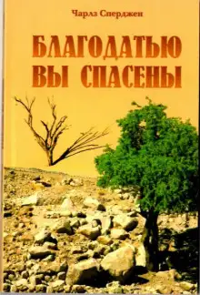 Обложка книги Благодатью вы спасены
